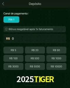 deposits 2025TIGER