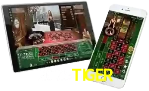 2025TIGER